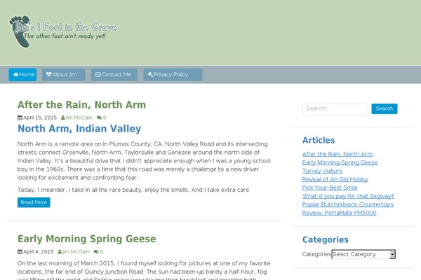 WordPress website screenshot