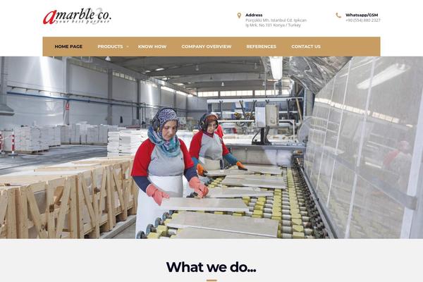 Consulting theme site design template sample