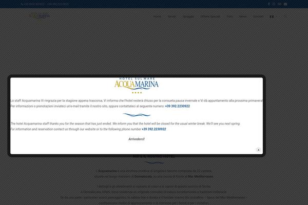 Site using Multilanguage by BestWebSoft plugin