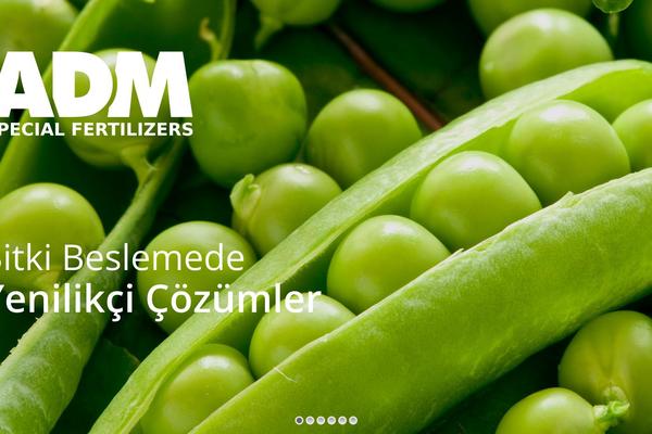 The7 theme site design template sample