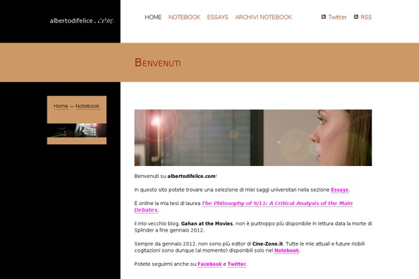 Site using Category Posts Widget plugin