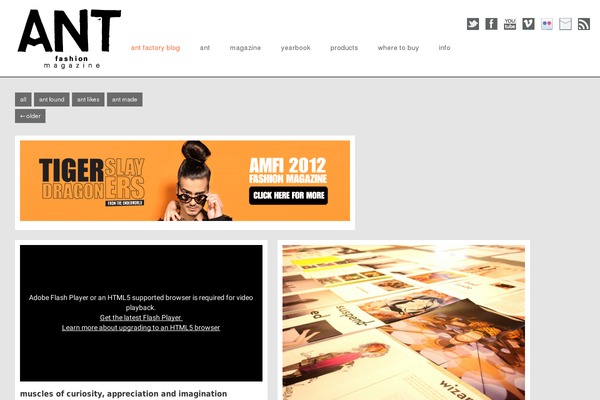 Ant theme site design template sample