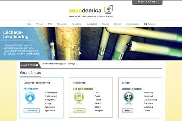 Inovado theme site design template sample