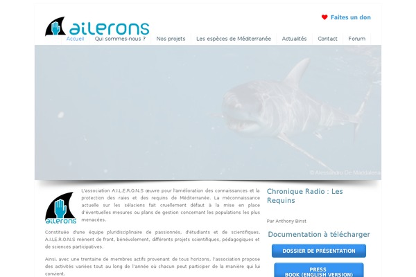 U Design Child theme site design template sample