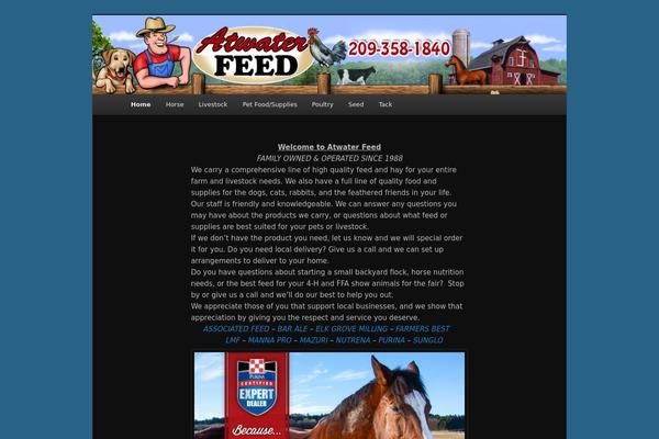 Twenty Eleven theme site design template sample