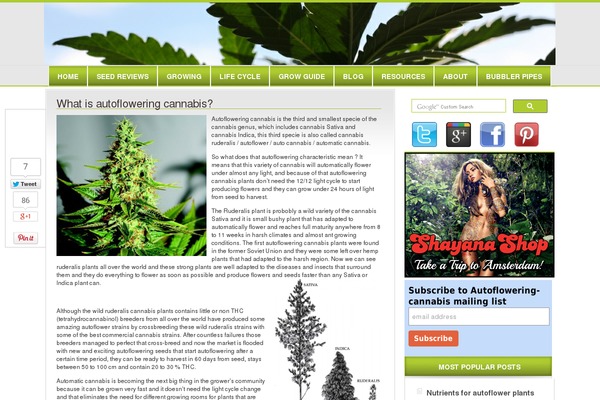 SmartMag theme site design template sample