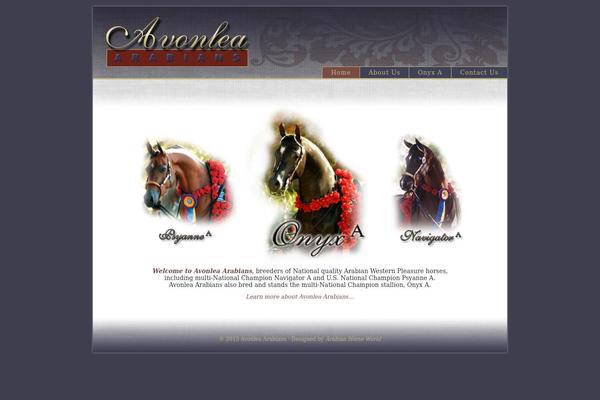 Genesis theme site design template sample