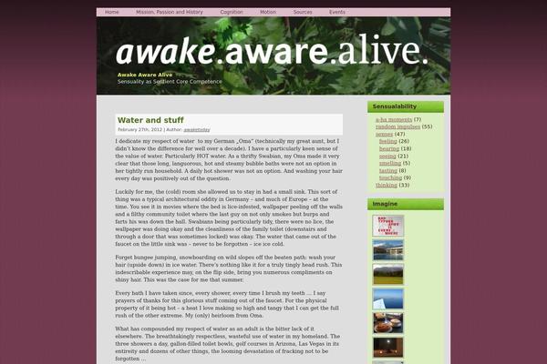 Site using Audio Player plugin