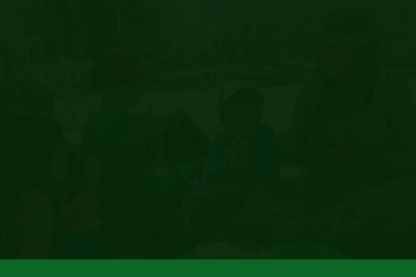 Site using LayerSlider plugin