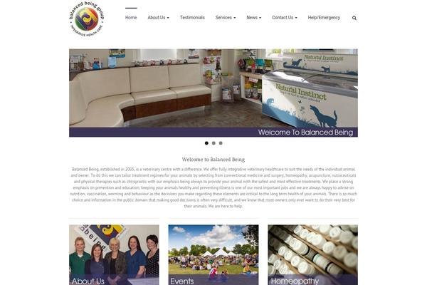 Avada theme site design template sample