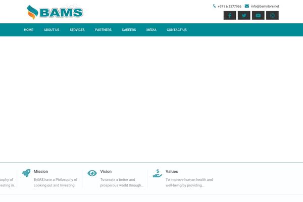 Mist theme site design template sample