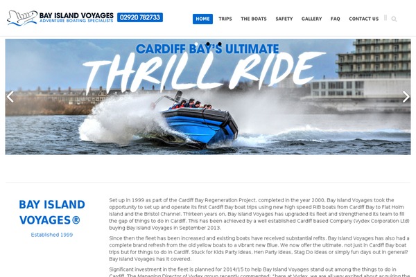 Immensely theme site design template sample