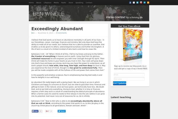 Standard theme site design template sample