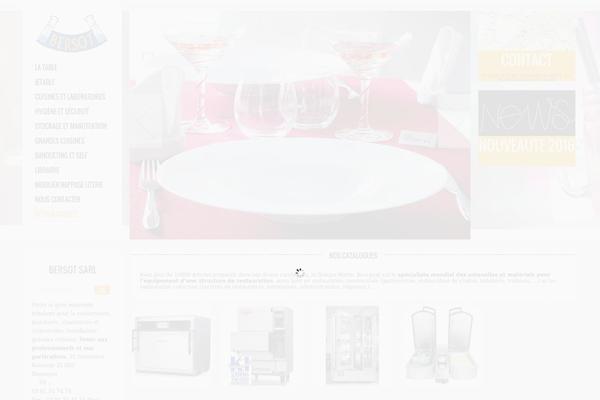 Socha theme site design template sample