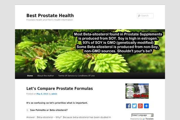 Twenty Eleven theme site design template sample