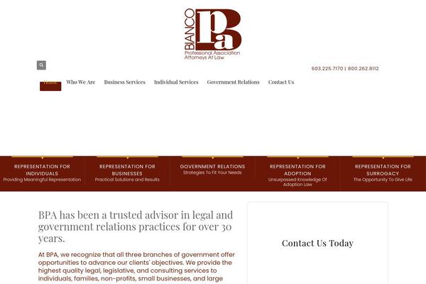 Kallyas theme site design template sample