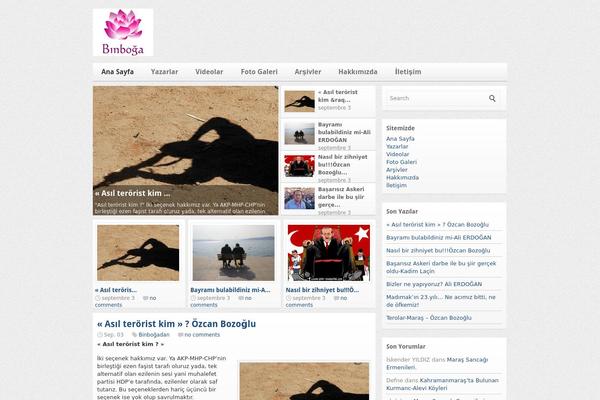 Site using Category Posts Widget plugin