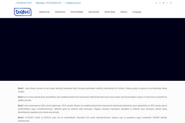 Site using Google Language Translator plugin