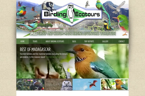 Site using Share Buttons by AddThis plugin