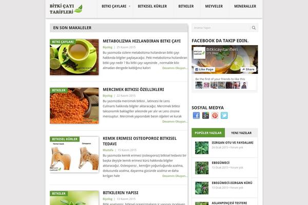 Point theme site design template sample