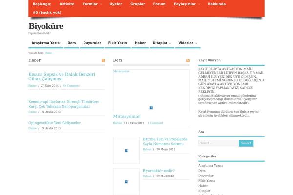 ColorMag theme site design template sample