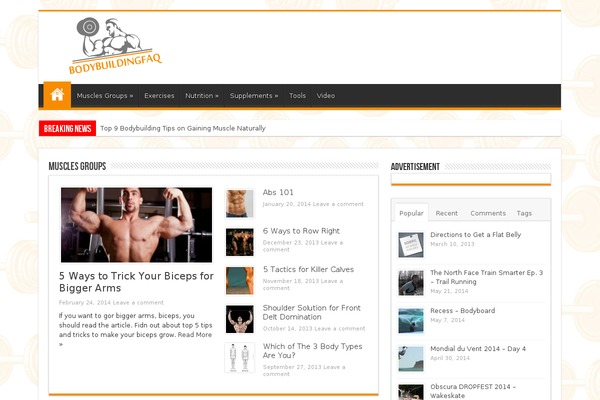 Sahifa theme site design template sample