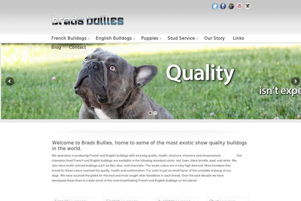 U Design Child theme site design template sample