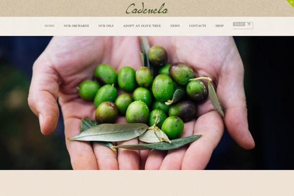 Site using Convertplug plugin
