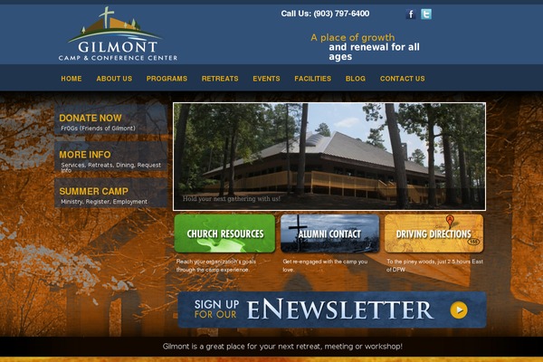 Site using Category Posts Widget plugin