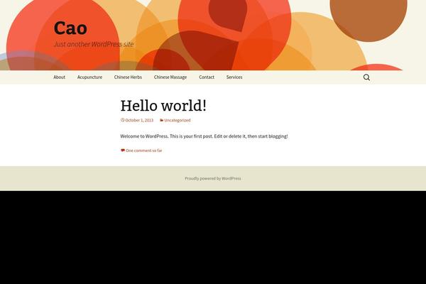 Twenty Thirteen theme site design template sample