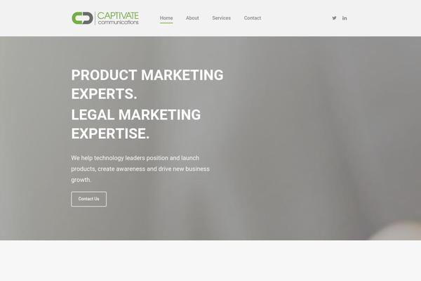 Salient theme site design template sample