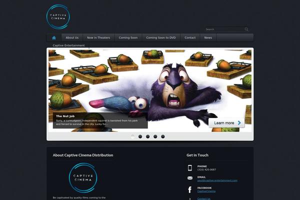Site using Category Posts Widget plugin
