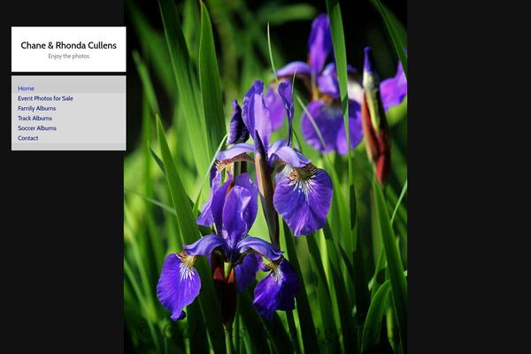 Imagely theme site design template sample