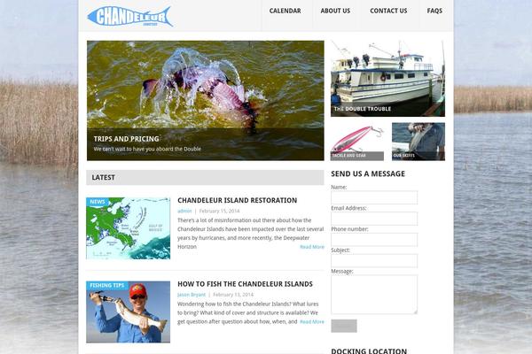 Point theme site design template sample