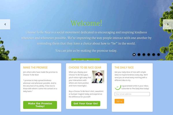 Salient theme site design template sample