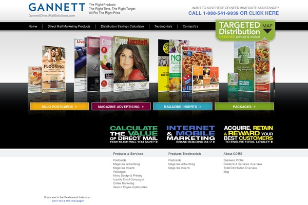 EFFEKTIVE theme site design template sample