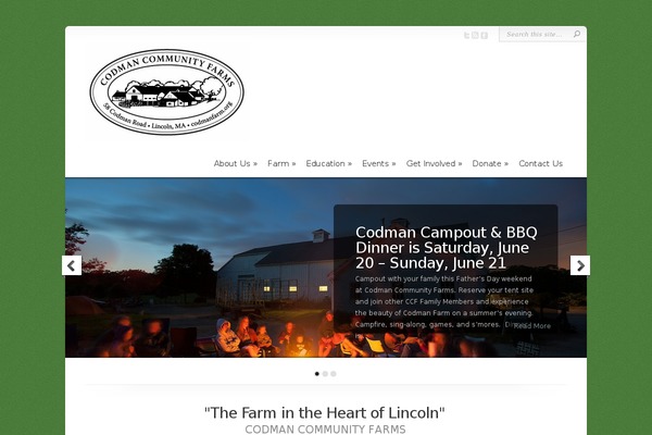 Chameleon theme site design template sample