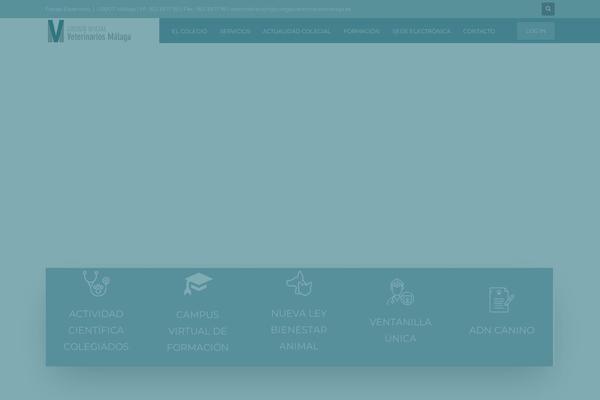 Kallyas theme site design template sample