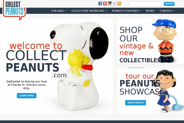 Site using Elementor-pro plugin