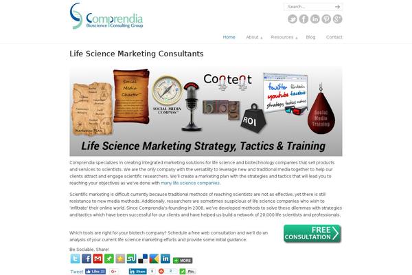 iPin Pro theme site design template sample