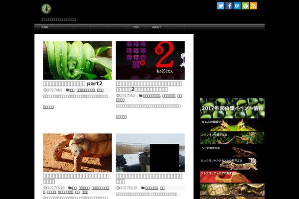 Xeory_base theme site design template sample