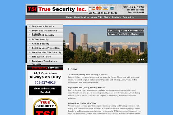 truesecurity theme websites examples