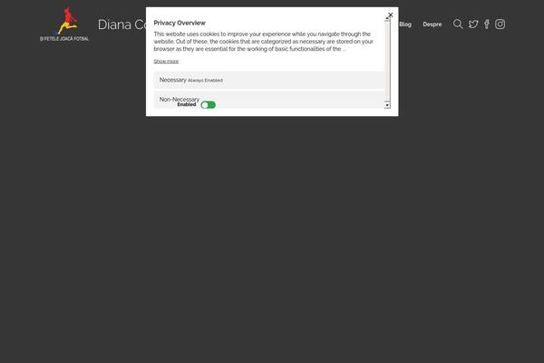 Site using Instagram Feed plugin
