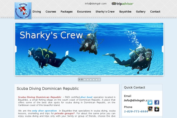 Site using Multilanguage by BestWebSoft plugin