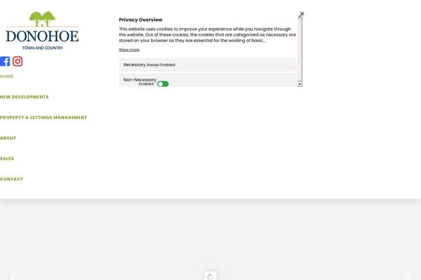 Pro theme site design template sample