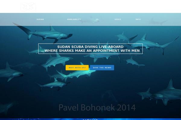 Bridge theme site design template sample