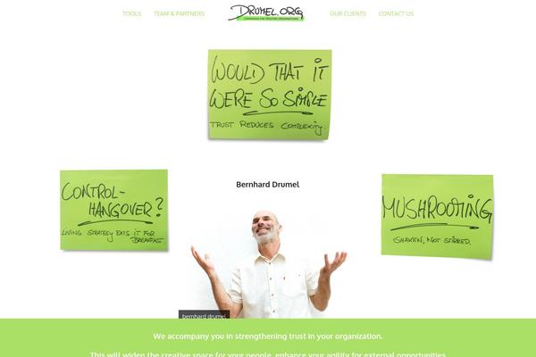 Total theme site design template sample