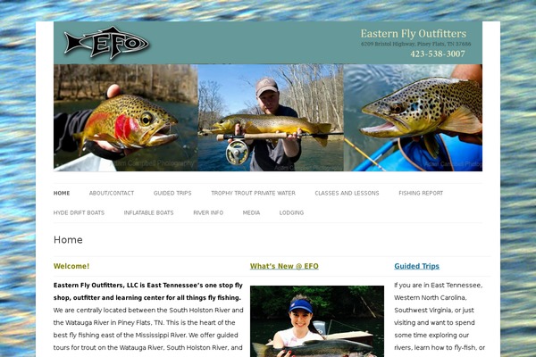 Twenty Twelve theme site design template sample