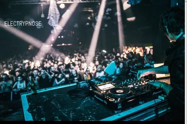 Pro theme site design template sample