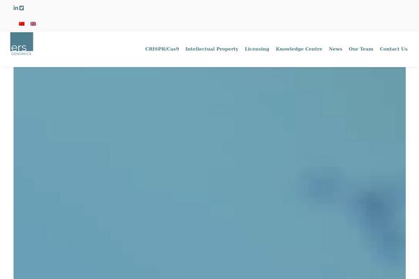 Shoptimizer theme site design template sample